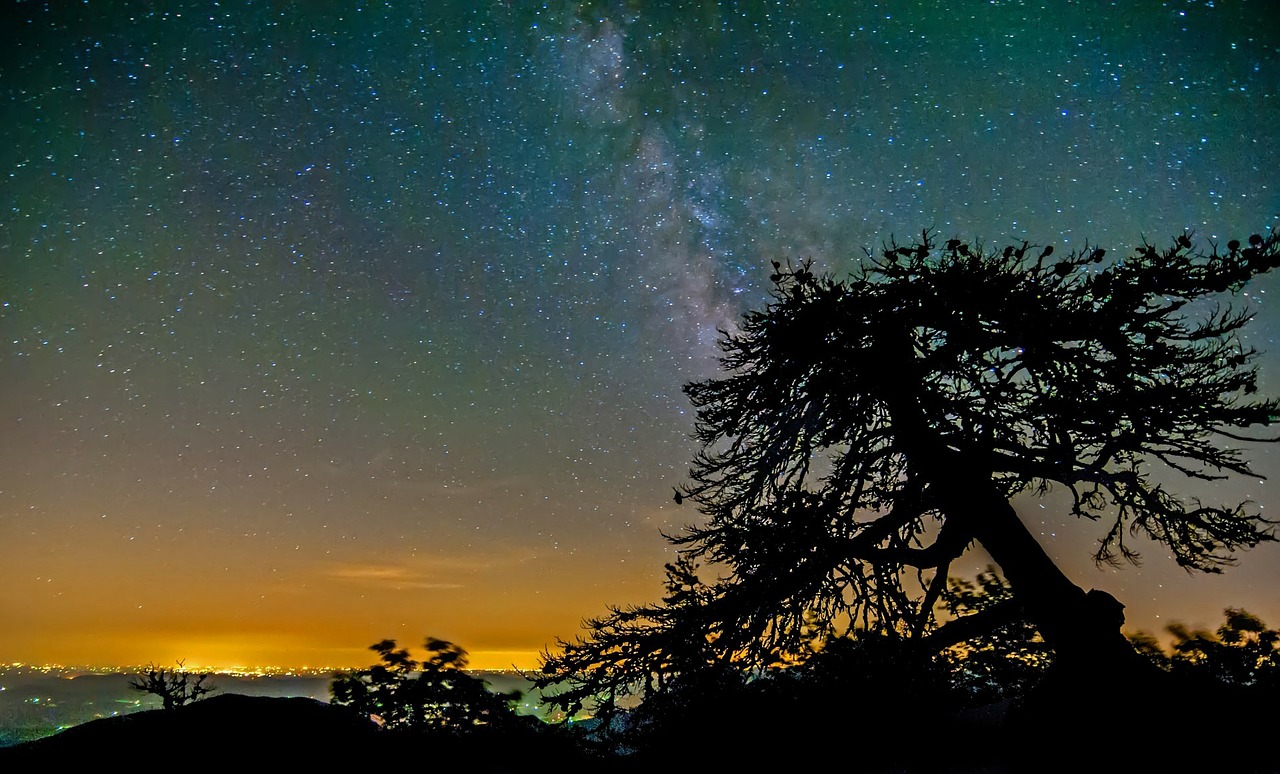 Image - night sky mountains tree milky way