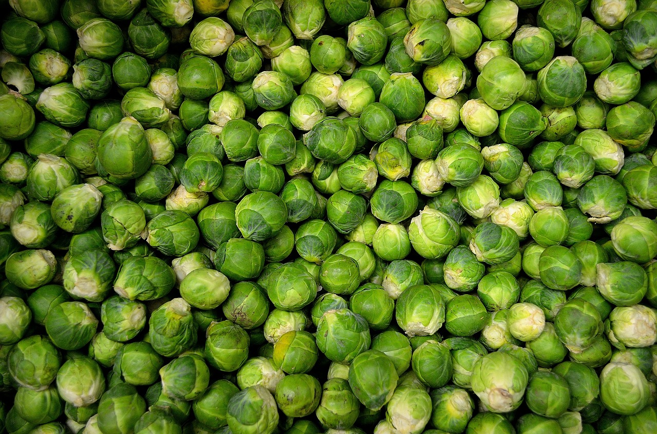 Image - brussels sprouts sprouts cabbage