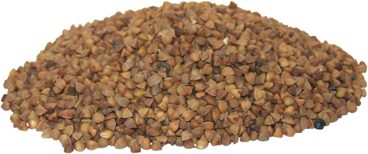 Image - buckwheat grain fried grits