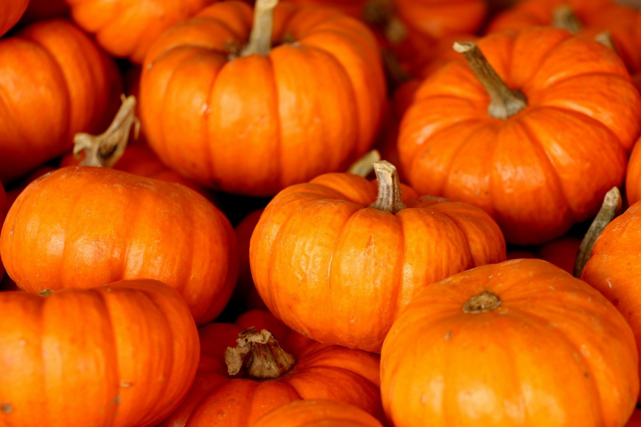 Image - pumpkin pumpkins squash gourd