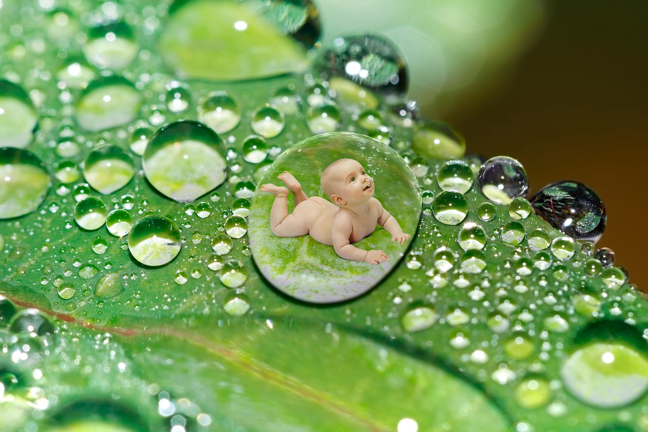 Image - drip water drop of water leaf