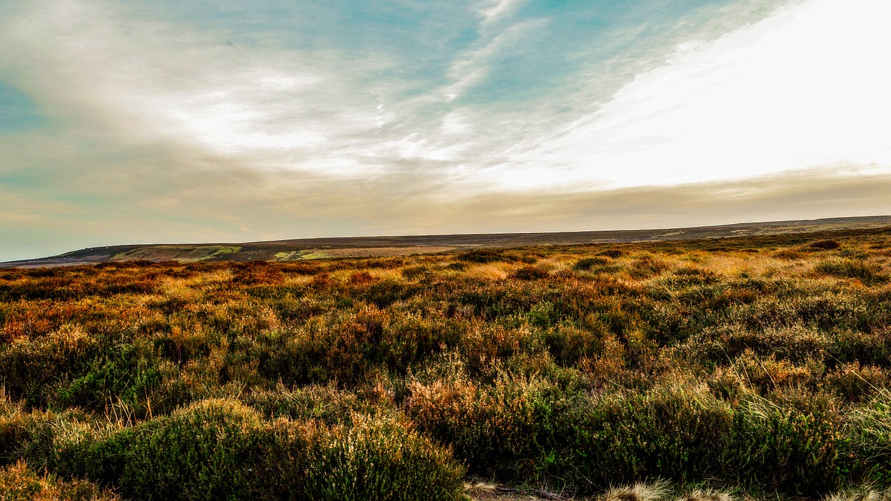 Image - moor landscape nature scenery