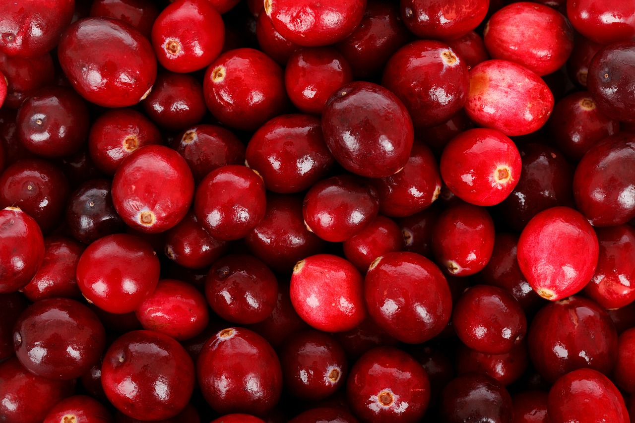 Image - backdrop background berry cranberry