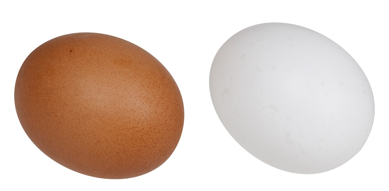 Image - food eat diet white brown eggs