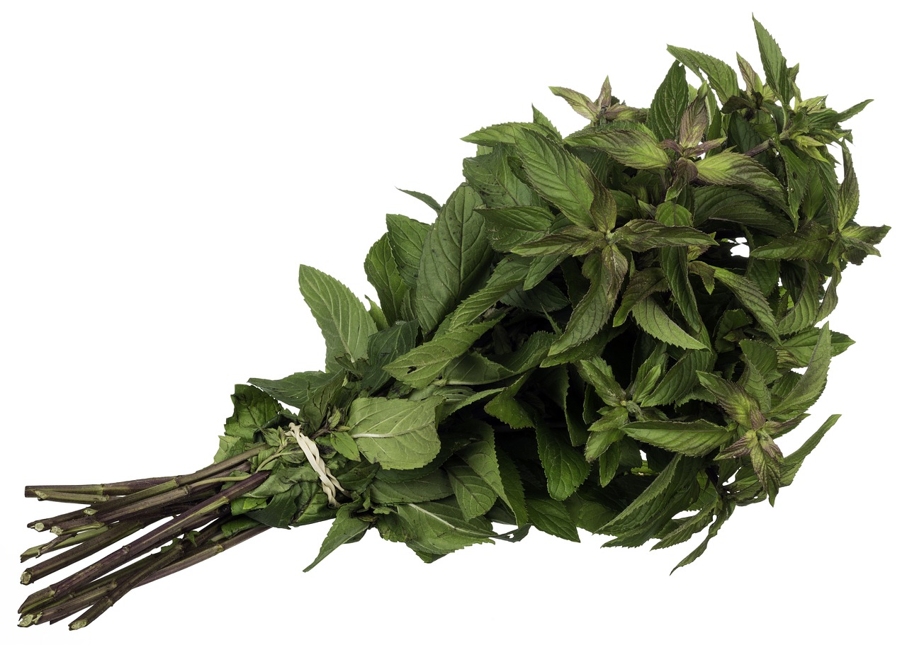 Image - mint spice herb green leaves food