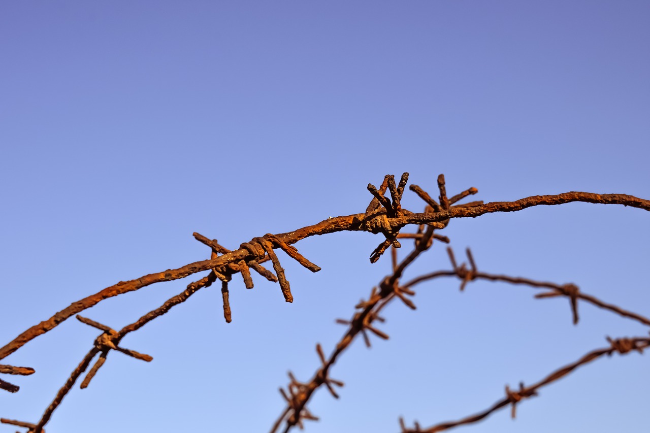 Image - wire rusty fence hurt pain