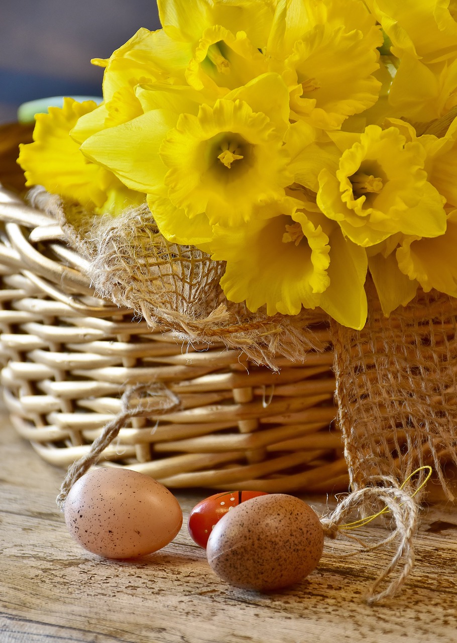 Image - daffodils yellow spring easter