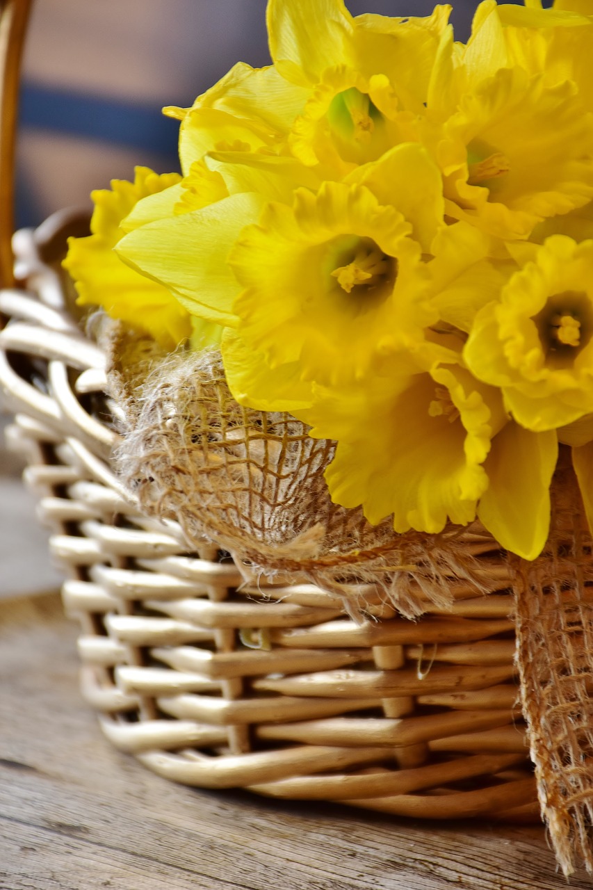 Image - daffodils yellow spring basket