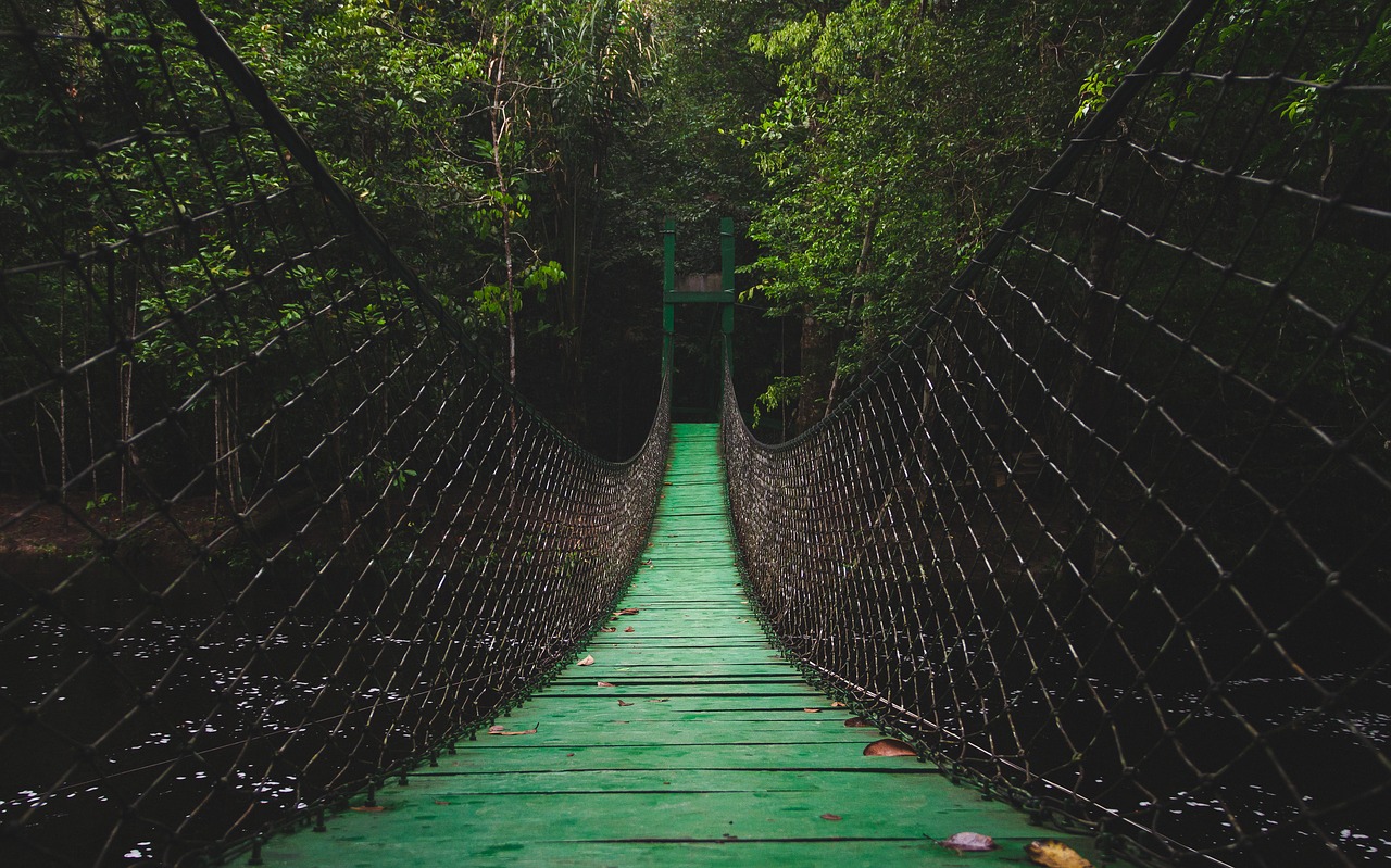 Image - bridge path walkway suspension