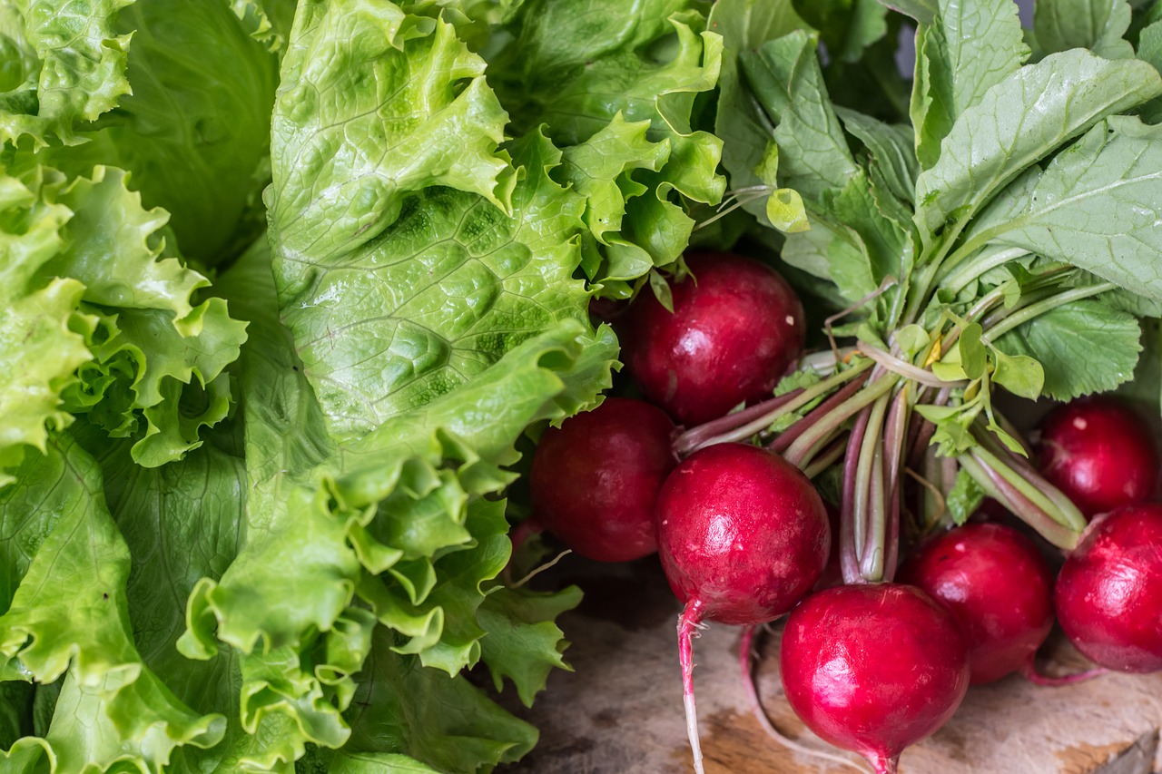 Image - garden radish vegetables healthy