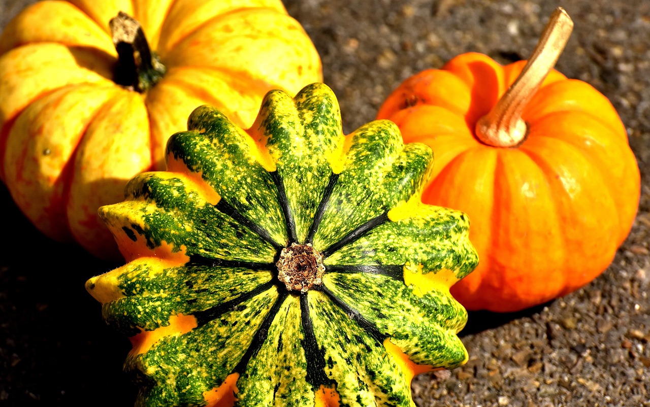 Image - pumpkins colorful autumn decoration