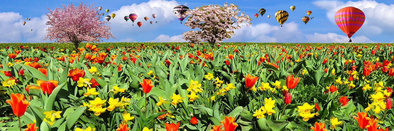 Image - nature spring fly balloon flowers