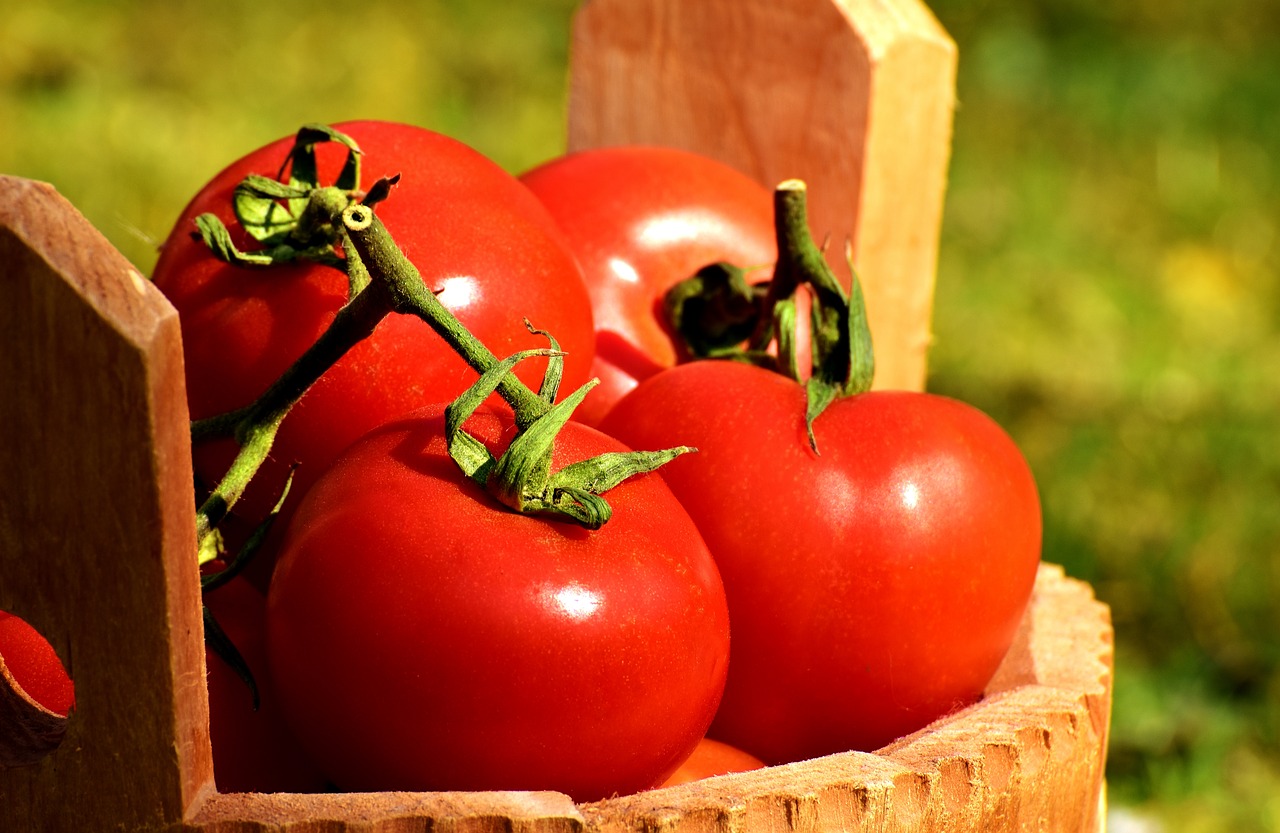 Image - tomatoes vegetables bucket ripe