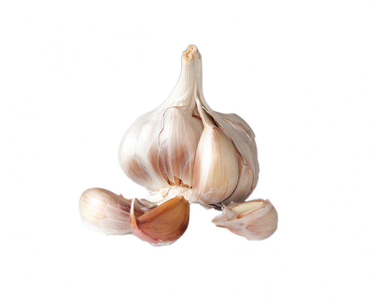 Image - garlic bulb clove cloves skin