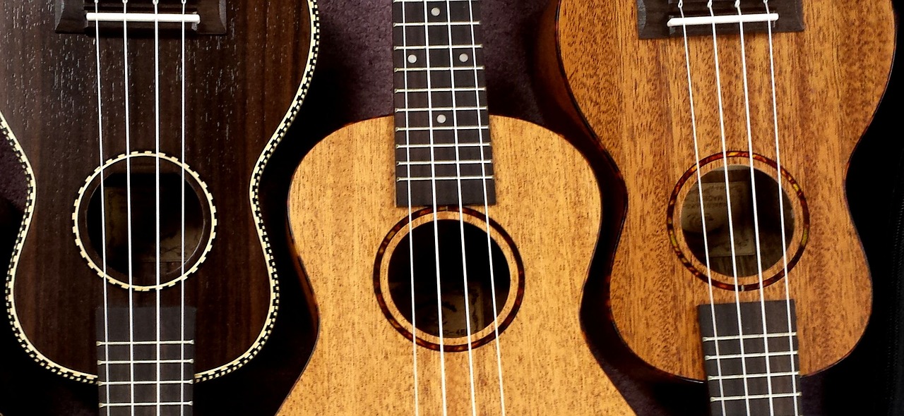 Image - ukulele snail ukes music strings