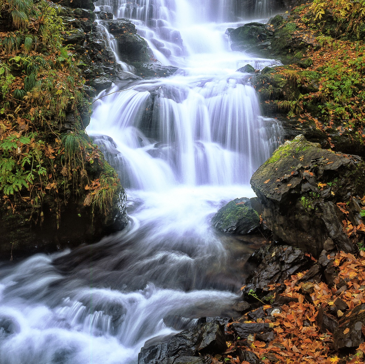 Image - a small waterfall fallen leaves