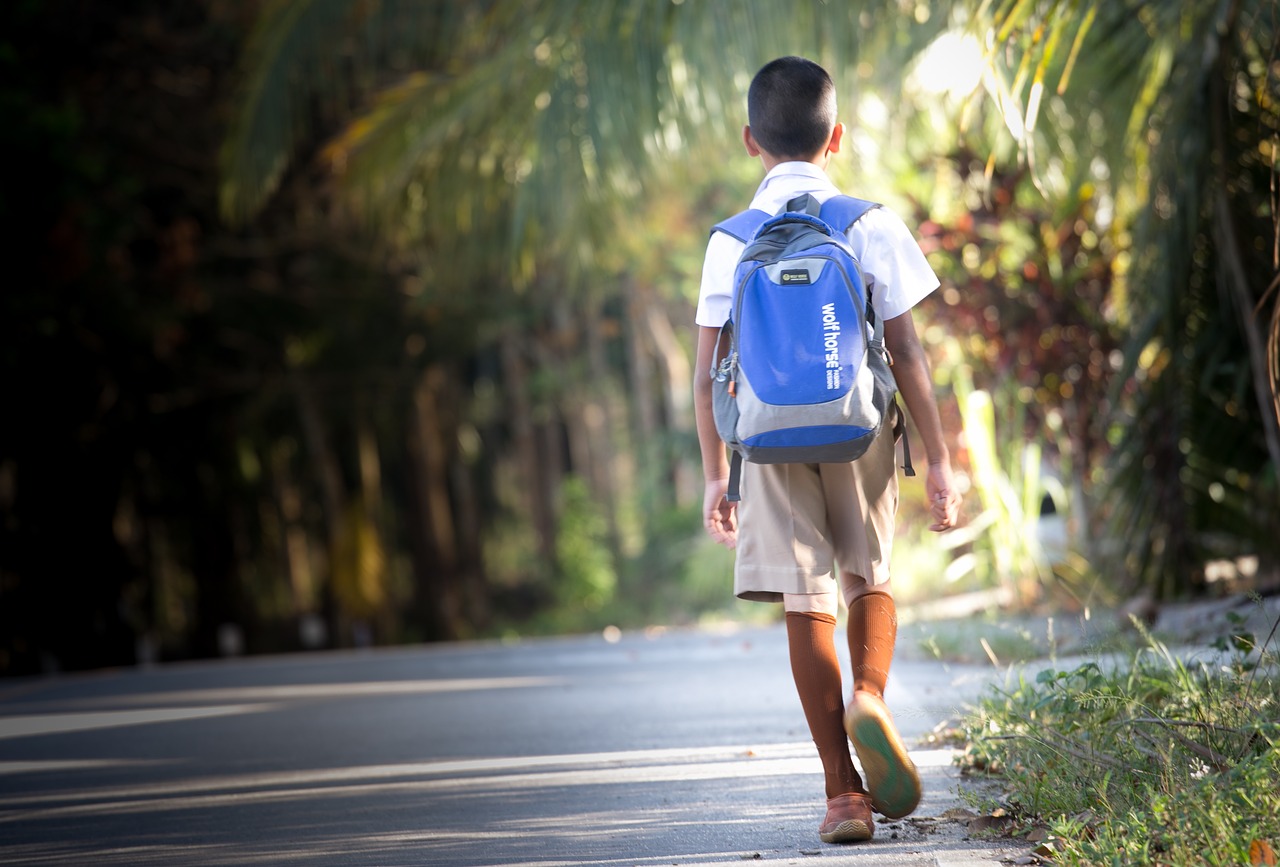 Image - school student dog child