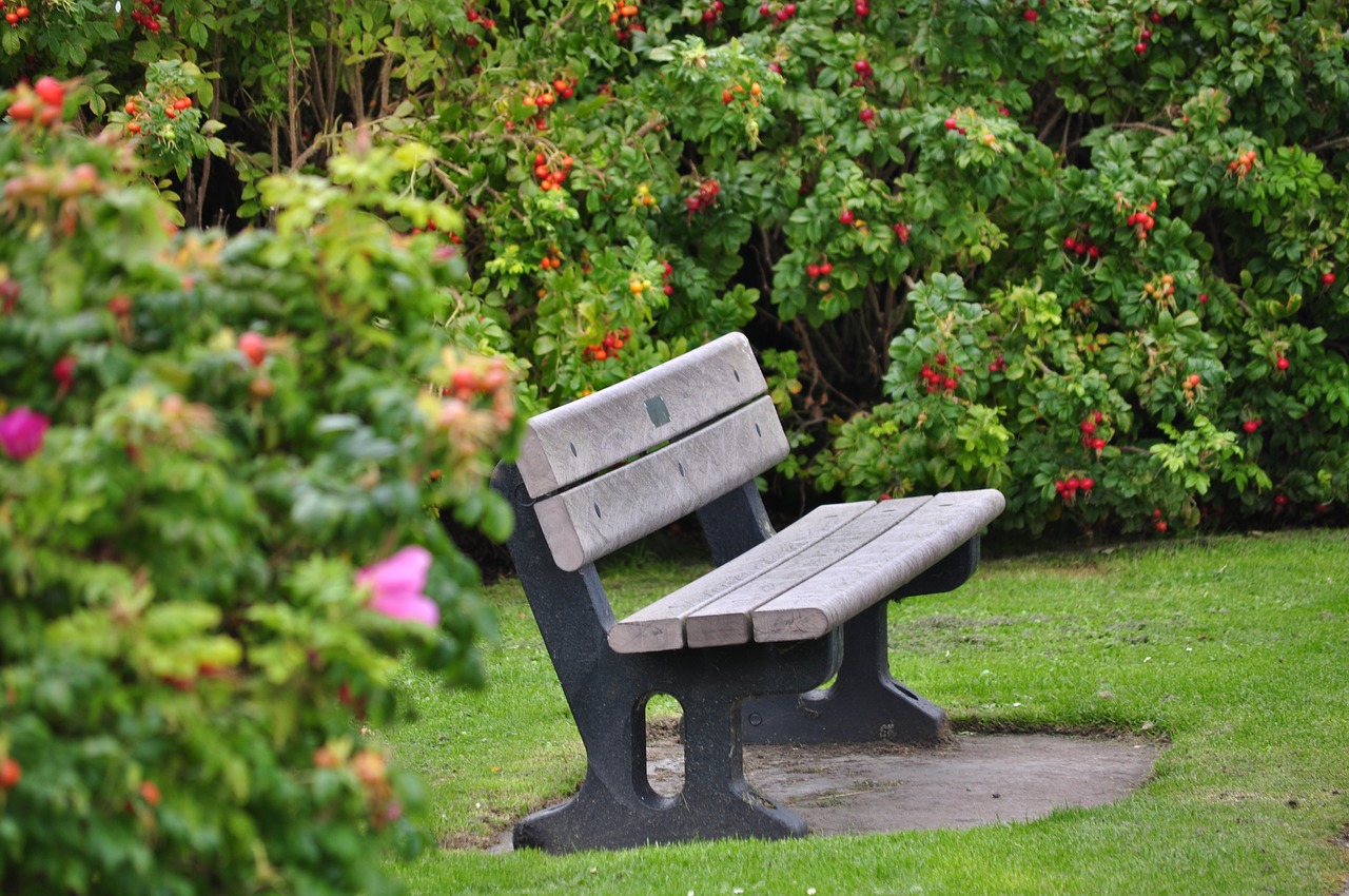 Image - bench garden holiday rest