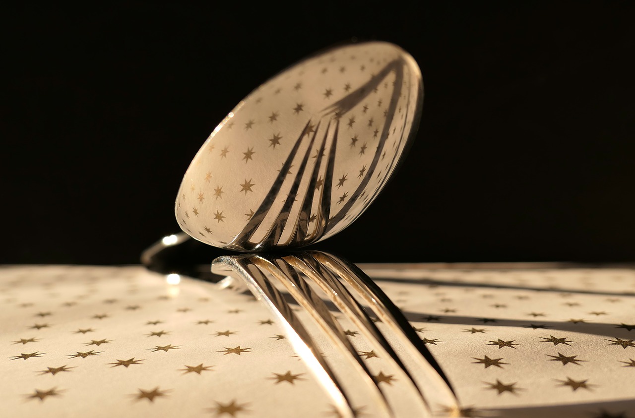 Image - fork spoon cutlery silver cover