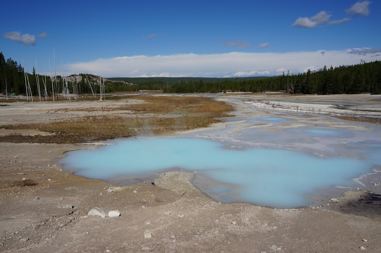 Image - yellowstone geezer usa
