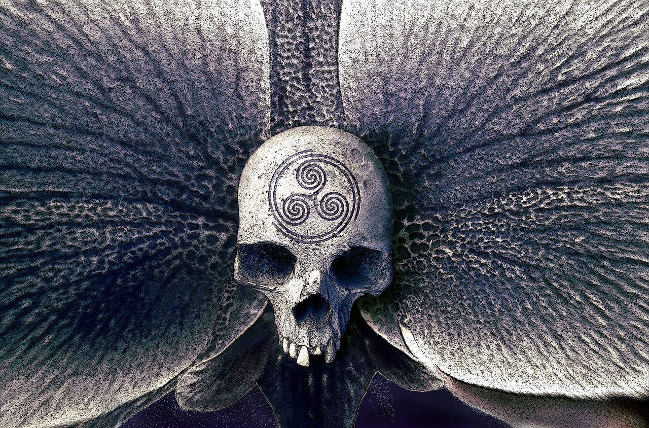 Image - skull orchid symbol mystical