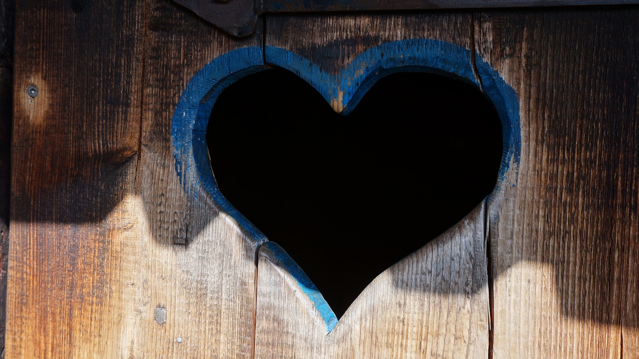 Image - heart toilet door wooden door wood