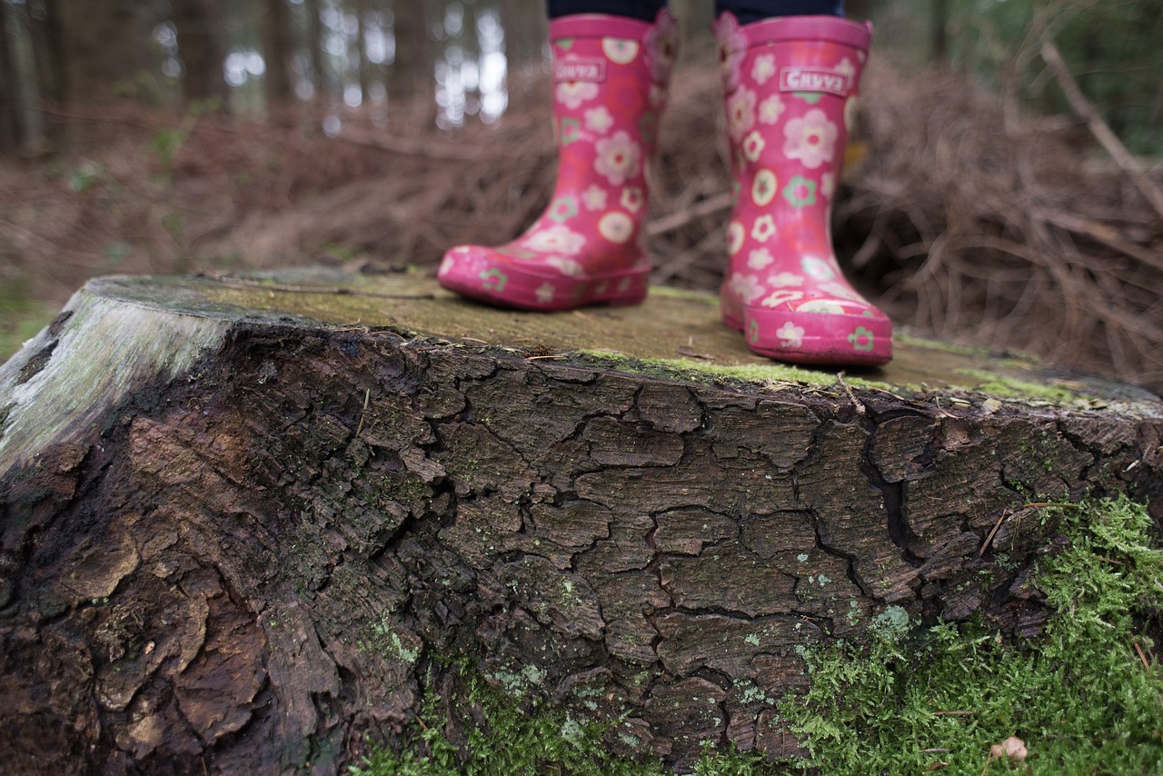 Image - girl walking forest path log tree