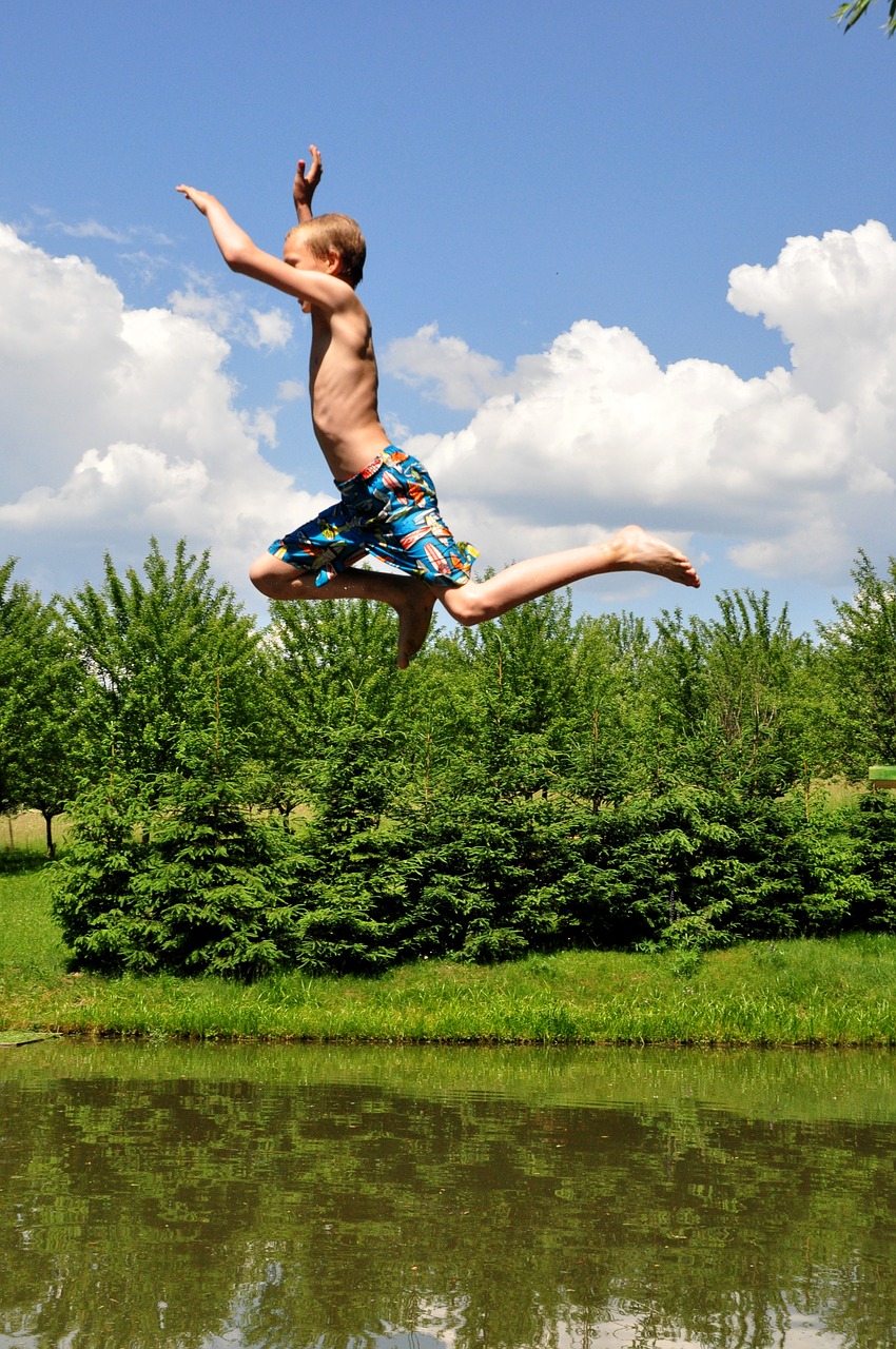 Image - summer swim pond landscape austria