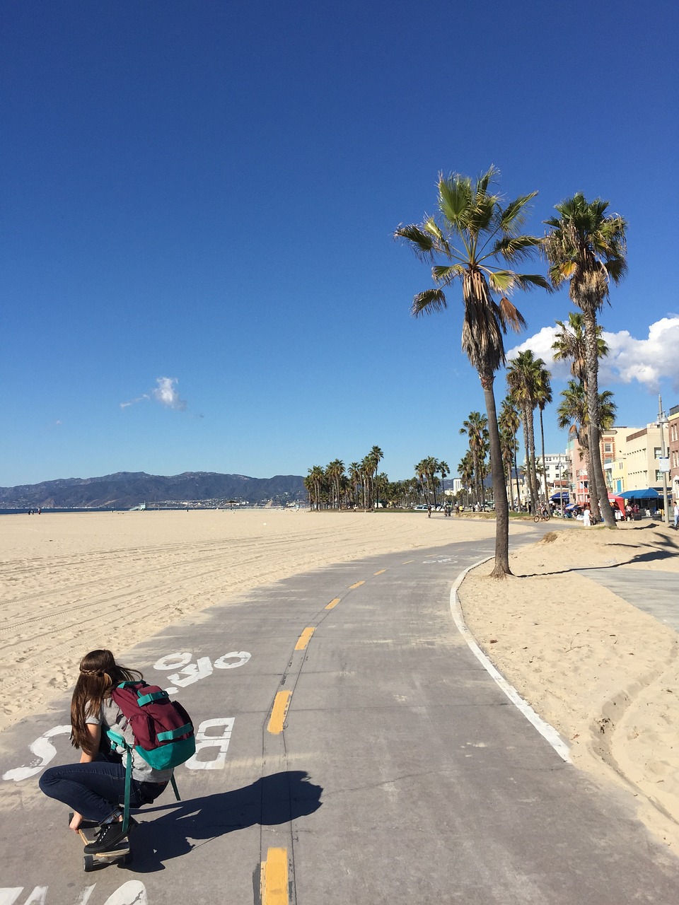 Image - skateboarding venice beach