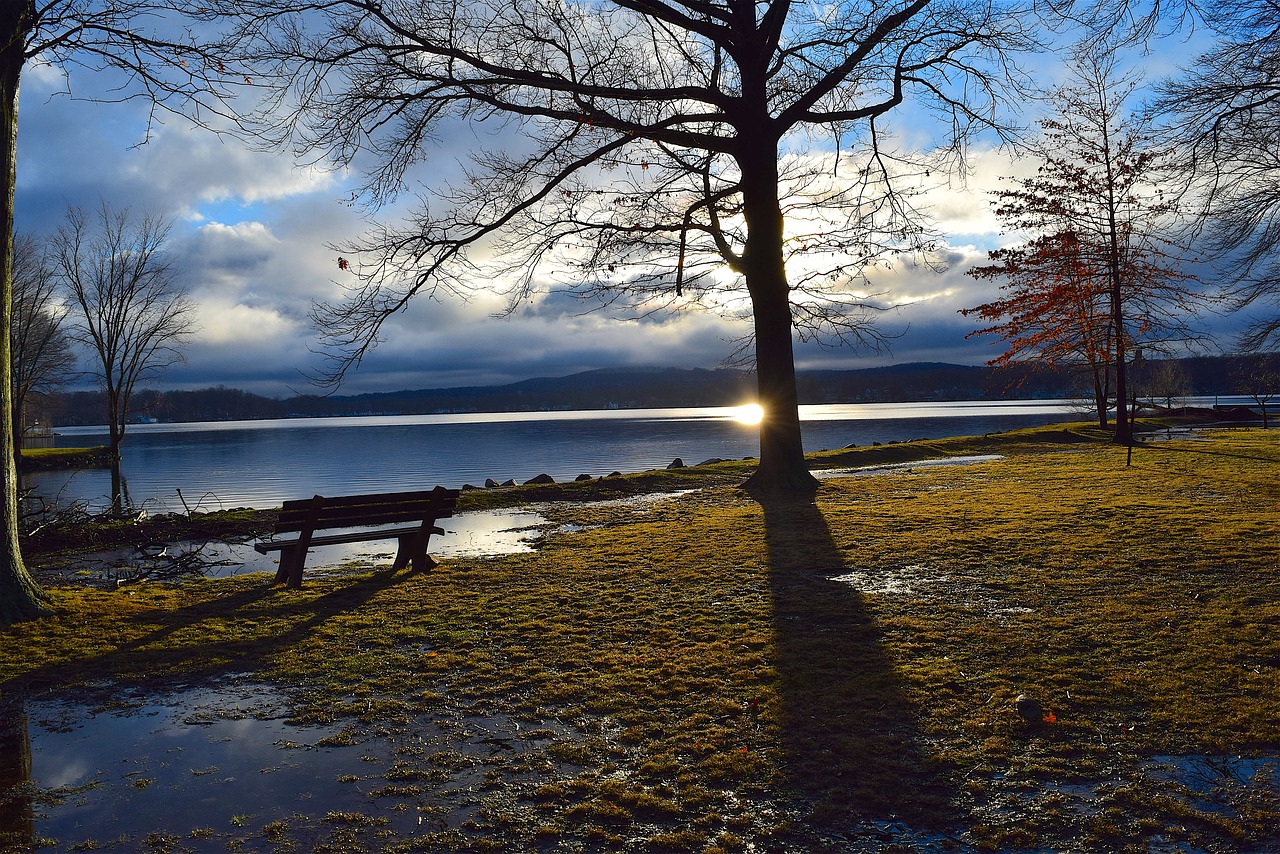 Image - sunset lake water nature sky tree