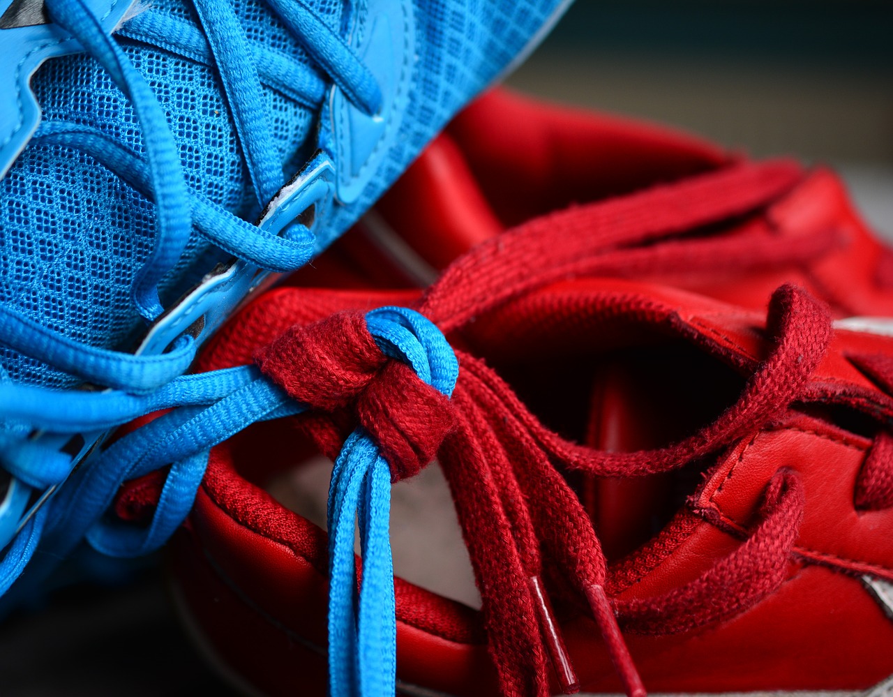 Image - shoelace knot knotted together