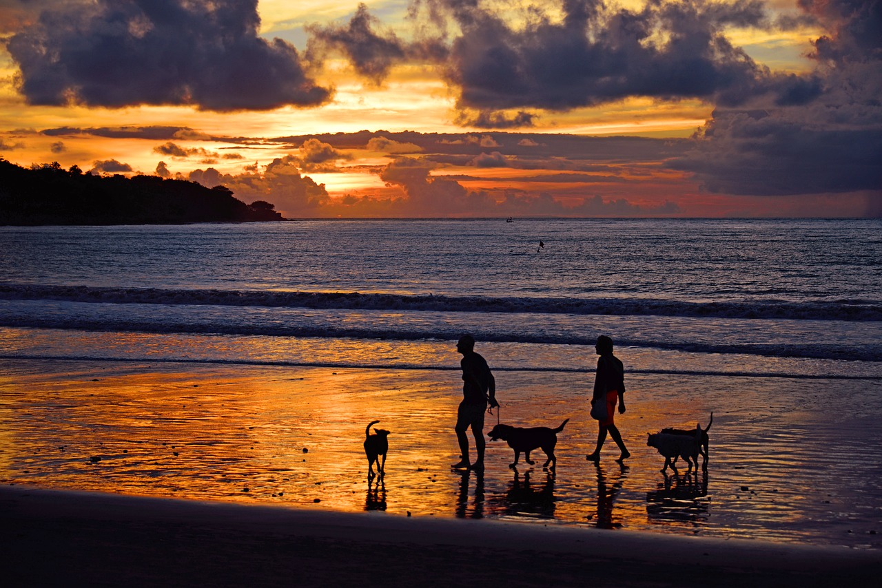 Image - jimbaran beach jimbaran indonesia