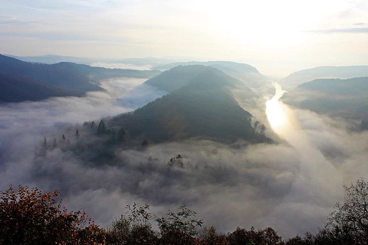 Image - morning mist river landscape
