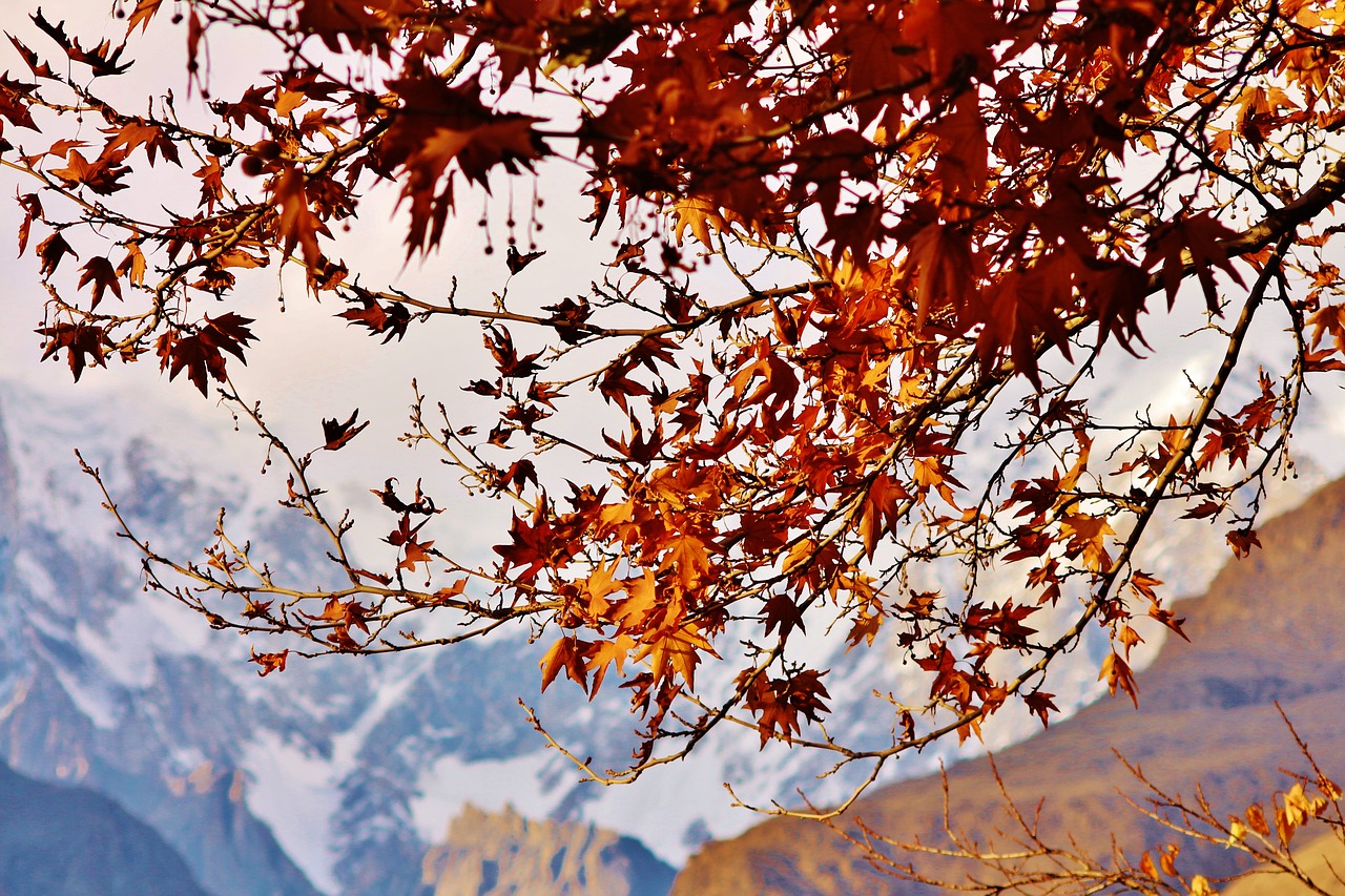 Image - mountain autumn scenic sky tourist