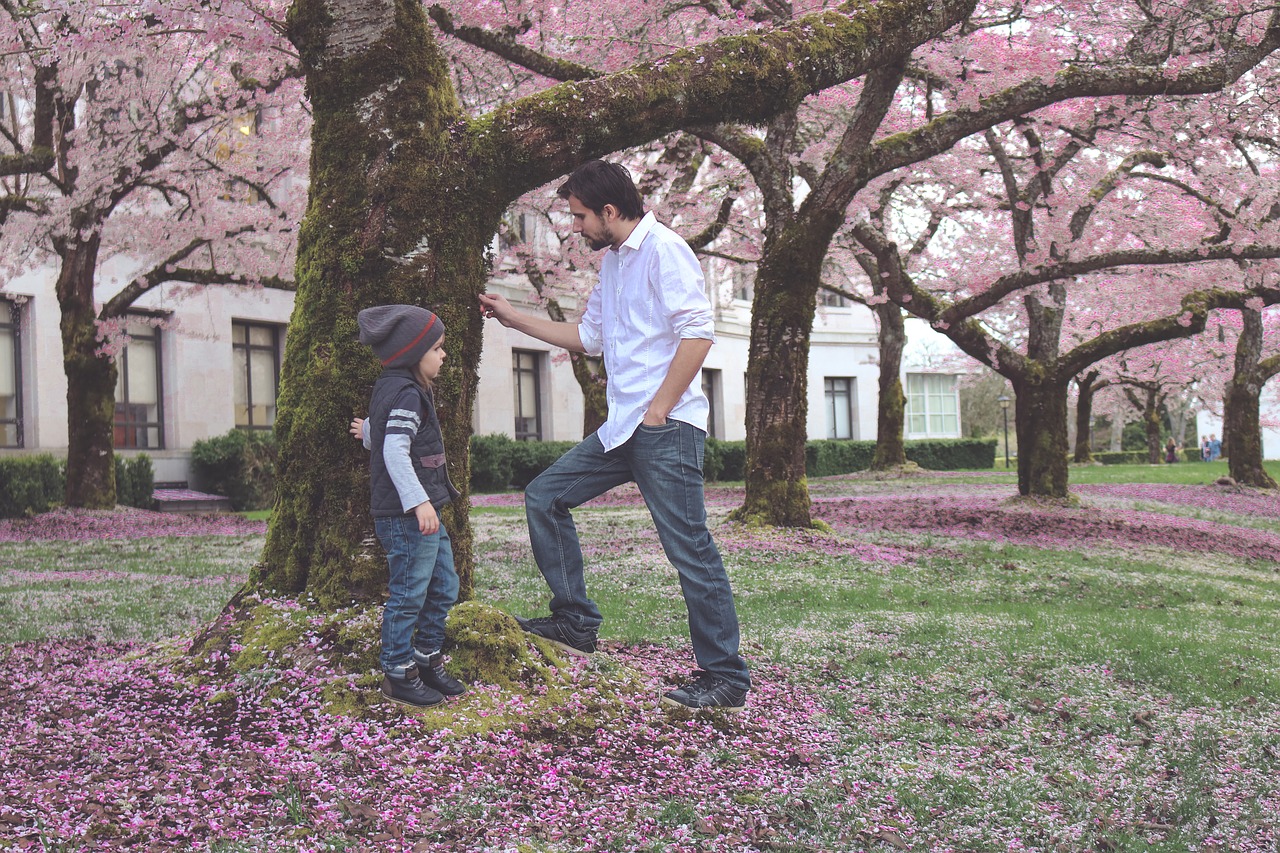 Image - father son spring bloom blossom