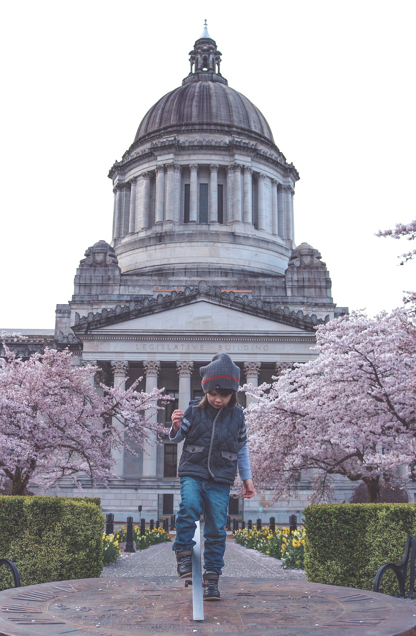 Image - boy child cute spring bloom