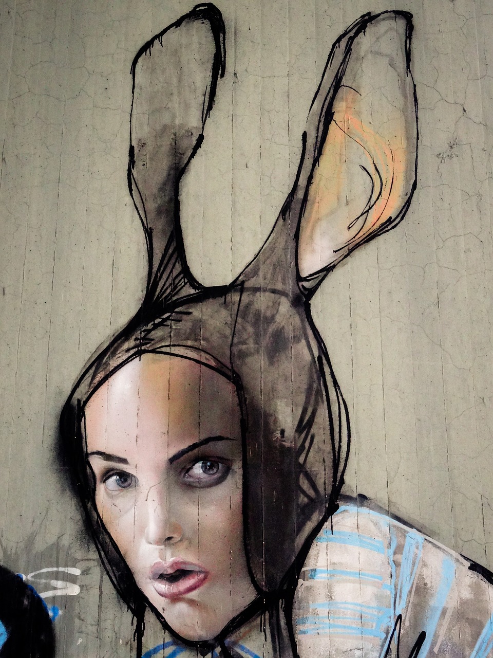 Image - graffiti hare woman face