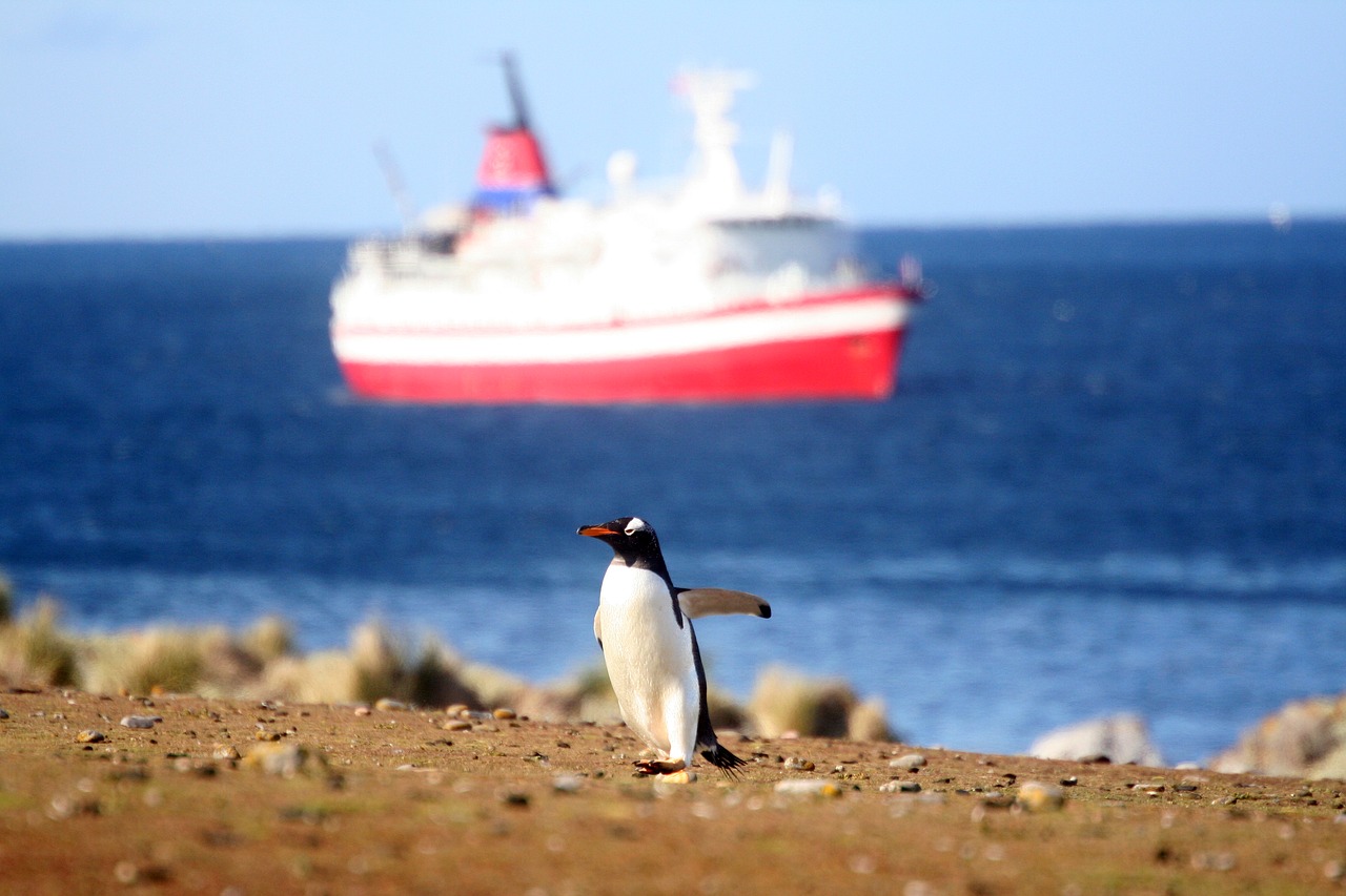 Image - penguin boat sea ship ocean