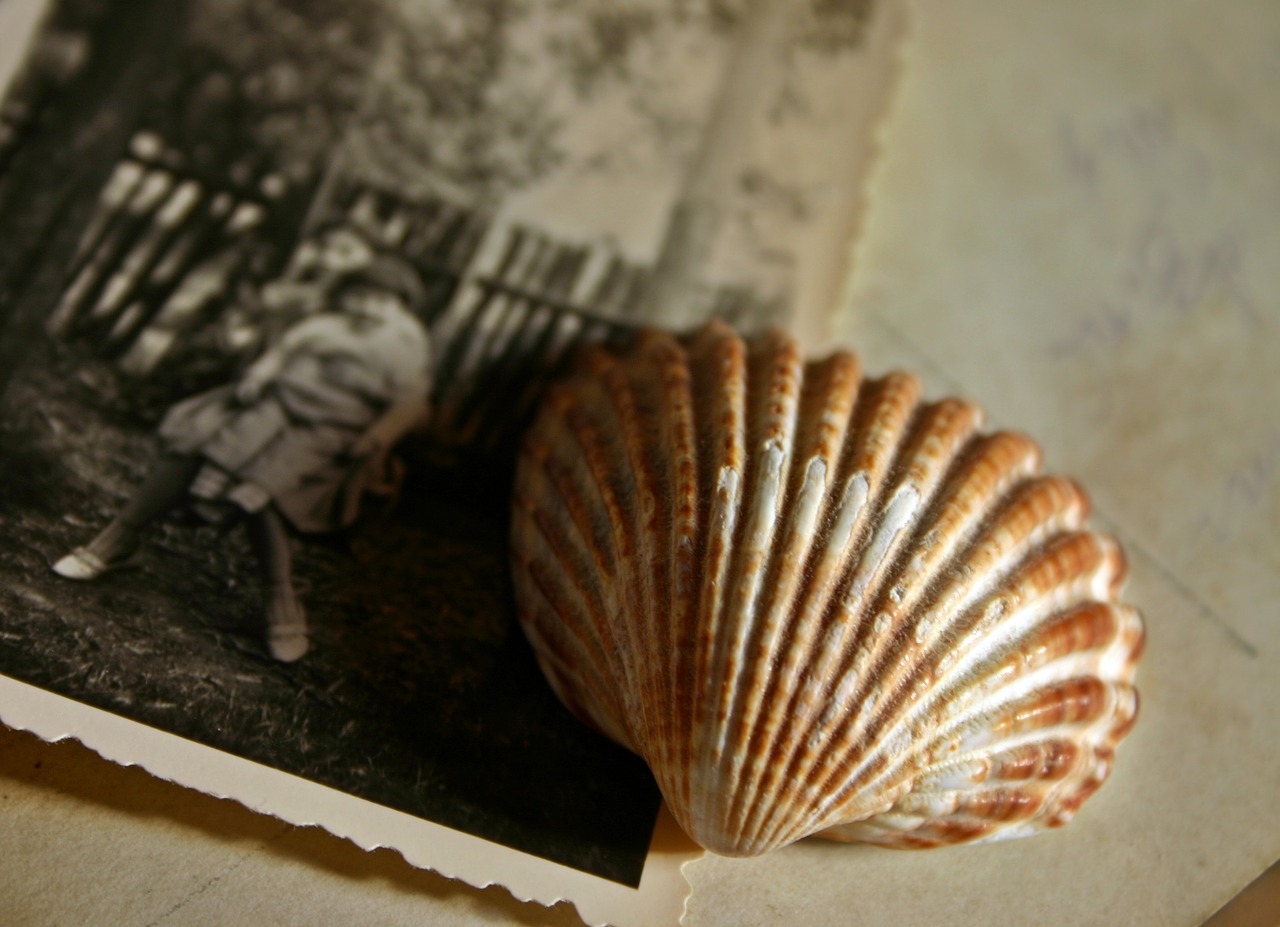Image - memory photo image recording shell