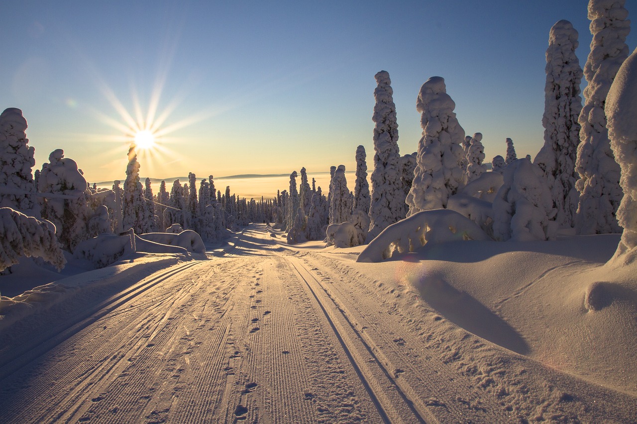 Image - finland lapland wintry
