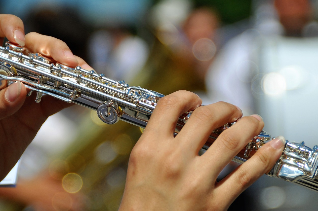 Image - flute instrument music classic