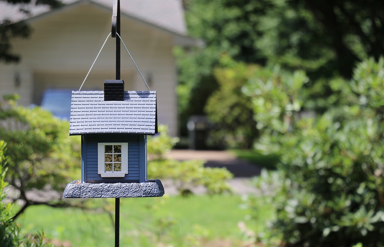 Image - birdhouse bird house small yard