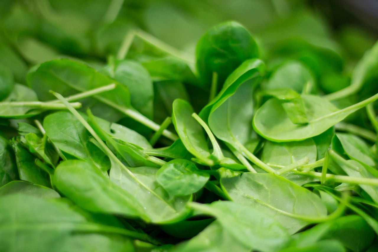 Image - spinach plant nutrition eat frisch