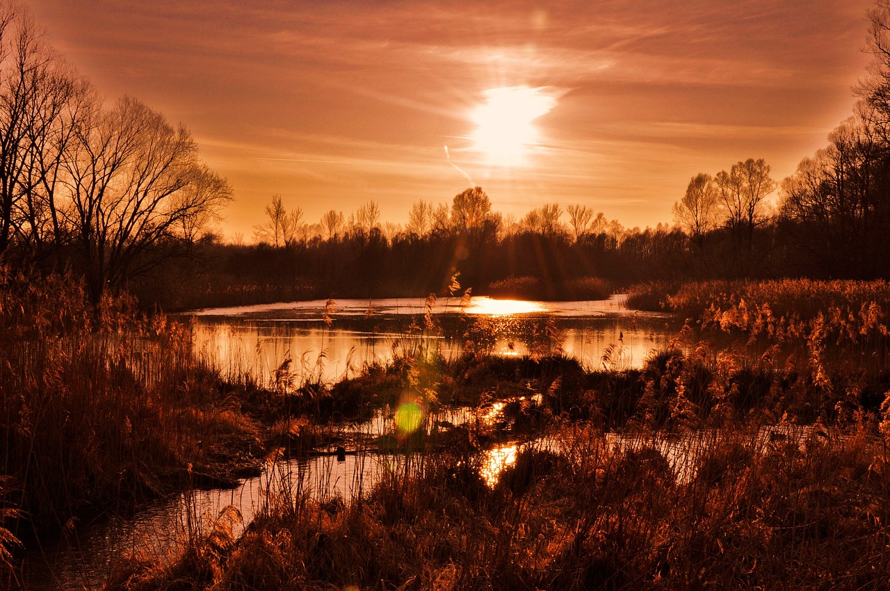 Image - surreal red sunset nature evening