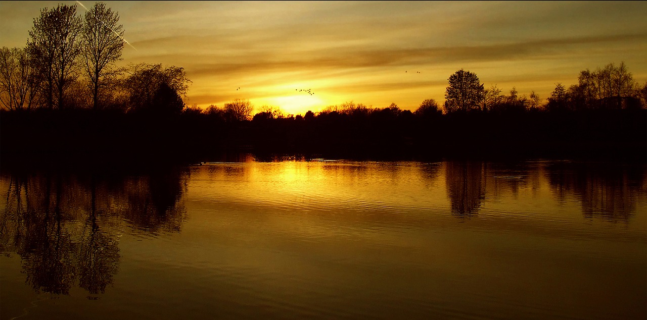 Image - sunset in the britzer garden berlin