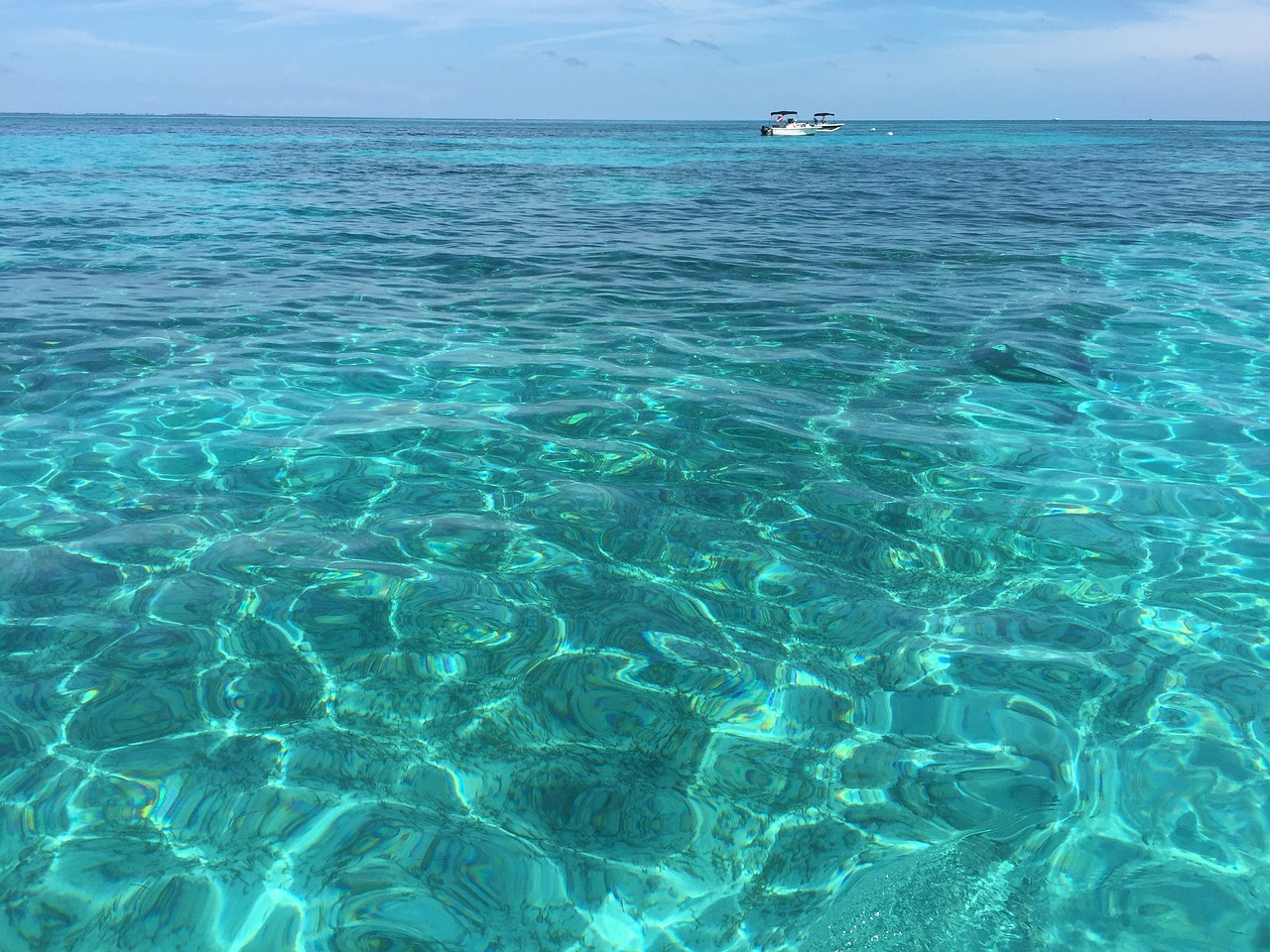 Image - florida keys looe key snorkeling