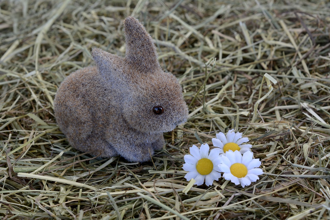 Image - bunny hare easter decoration hay