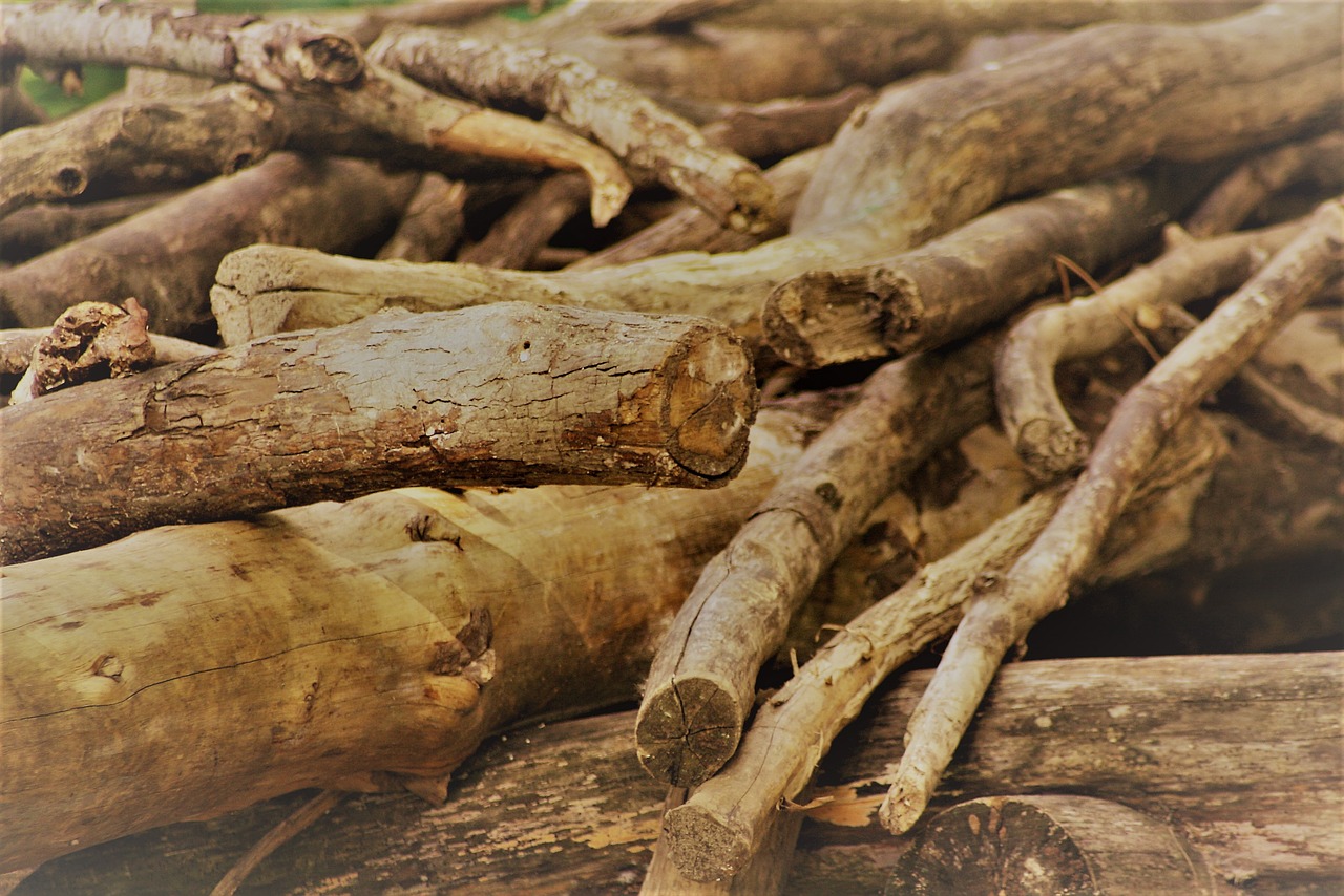 Image - wood sticks forest