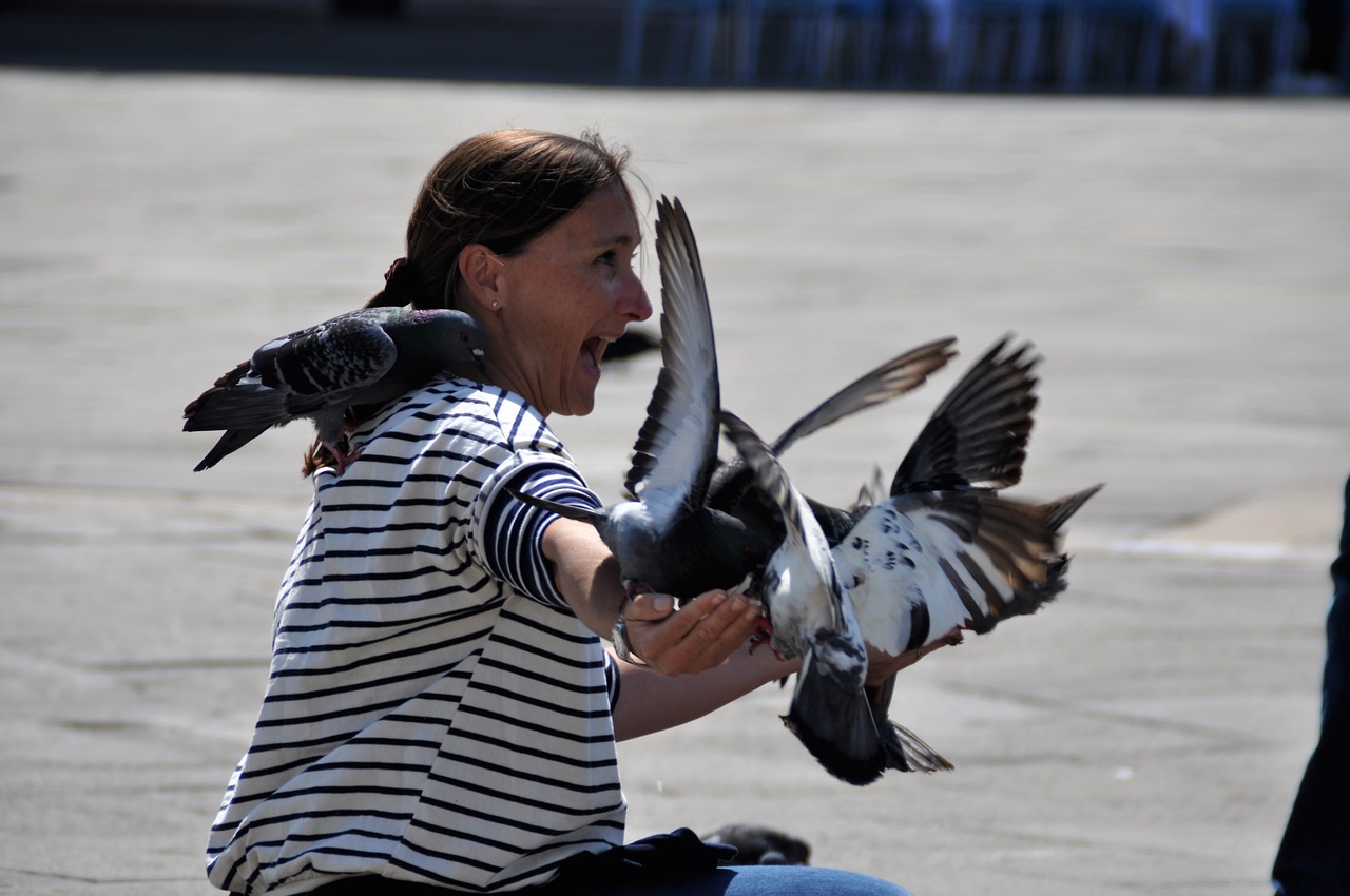 Image - venice st mark s square italy