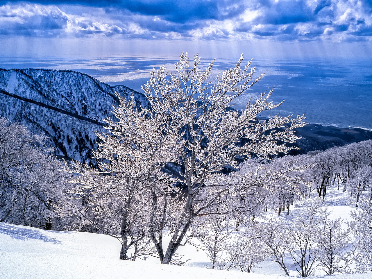 Image - landscape rime mountains sea